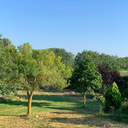 Ca' Salino