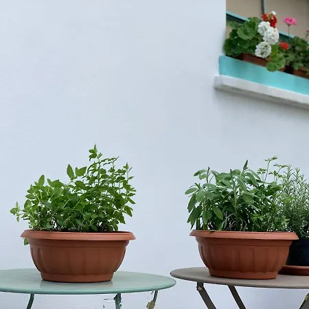Bed & Breakfast Ca' Salino *