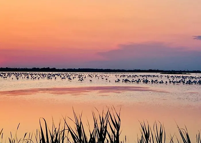 Ca' Salino Oda ve Kahvaltı