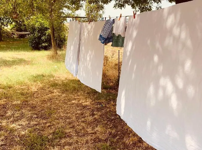 Oda ve Kahvaltı Ca' Salino 3*